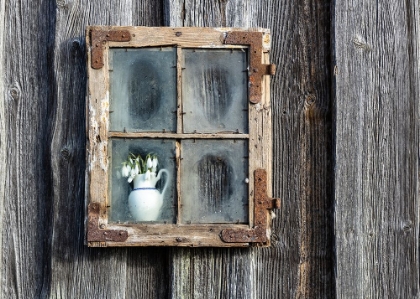 Picture of SPRING FLOWERS IN THE WINDOW