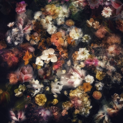 Picture of SPRING NIGHT