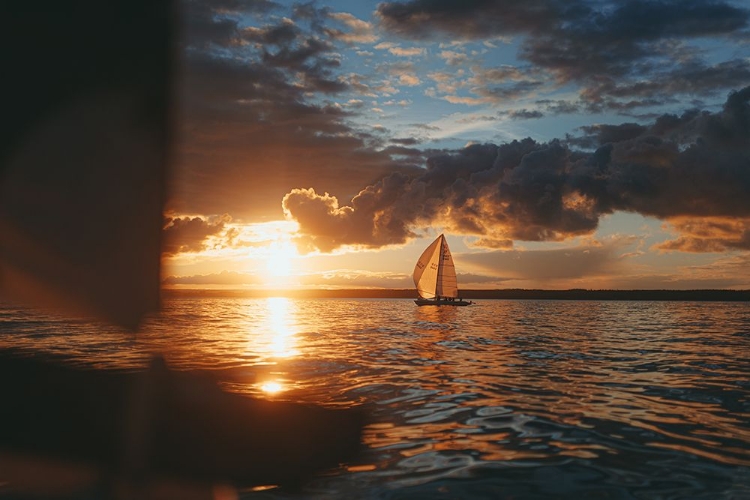 Picture of SUNSETSAIL