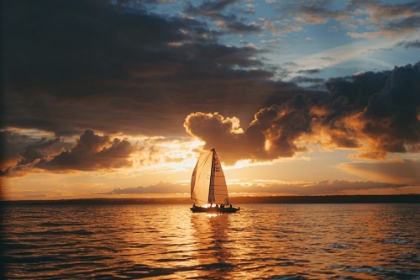 Picture of SUNSETSAIL