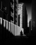 Picture of THE CITY DOMINATED BY SHADOWS