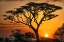 Picture of THE MAGIC OF AFRICA
