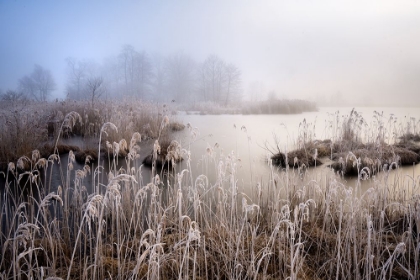 Picture of WINTER IN BAVARIA