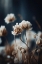 Picture of DRY PASTEL FLOWERS NO1