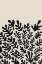 Picture of HENRI MATISSE BLACK ALGAE COLLECTION #2