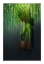 Picture of KIYOTO KIMONO