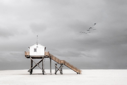 Picture of ON THE BEACH