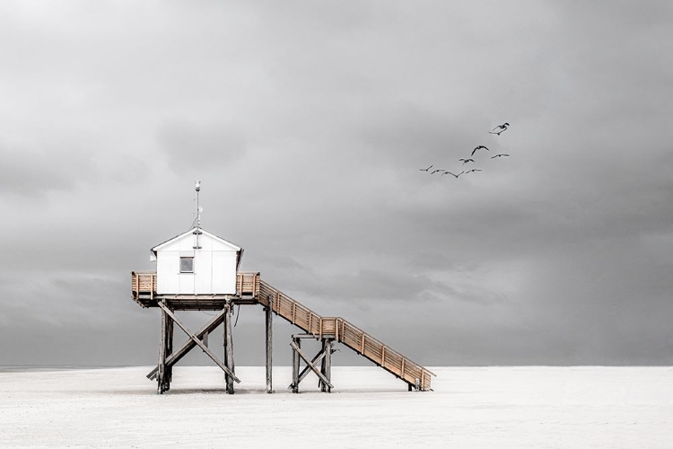 Picture of ON THE BEACH