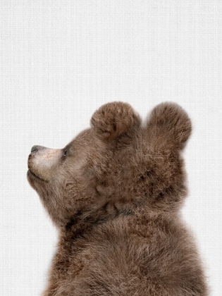 Picture of PEEKABOO BABY BEAR BACK