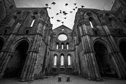 Picture of SAN GALGANO