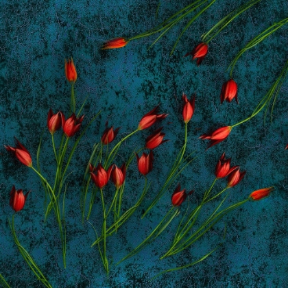 Picture of SPRING MOOD