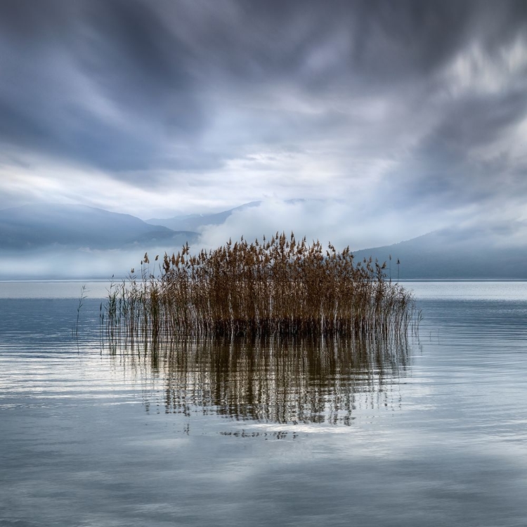 Picture of VEGORITIS LAKE