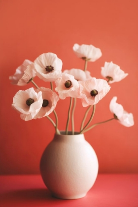 Picture of WHITE POPPY ON ORANGE BACKGROUND