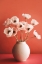 Picture of WHITE POPPY ON ORANGE BACKGROUND