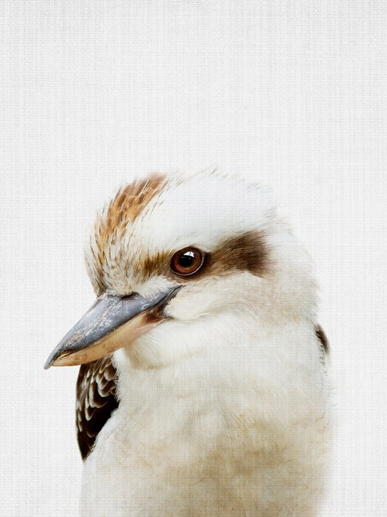 Picture of PEEKABOO KOOKABURRA