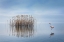 Picture of VOLVI LAKE