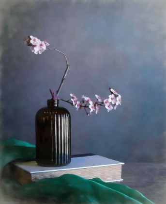 Picture of PLUM BLOSSOM