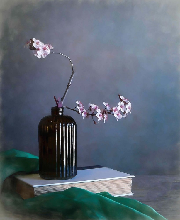 Picture of PLUM BLOSSOM