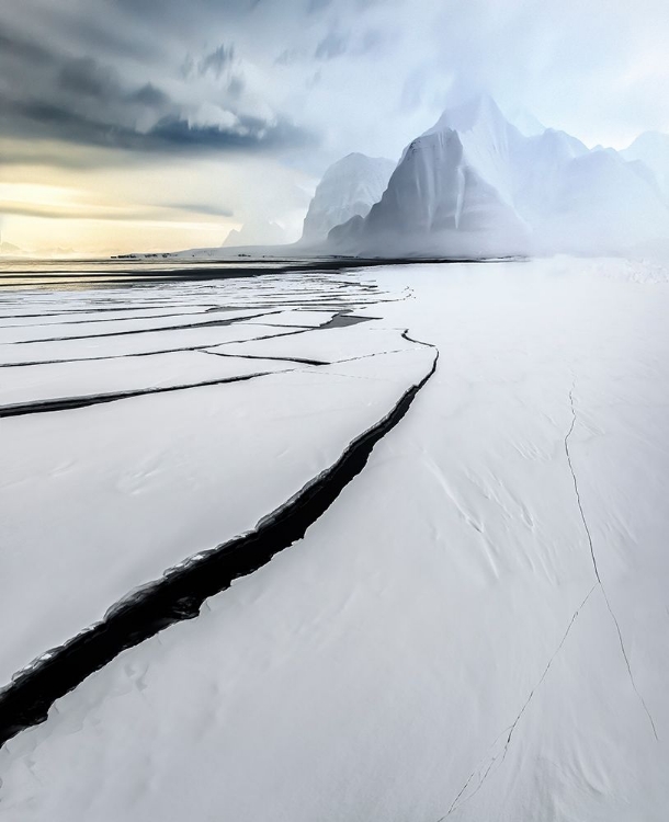 Picture of SVALBARD, ISFJORDEN-81021A