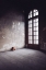Picture of SOLITUDE