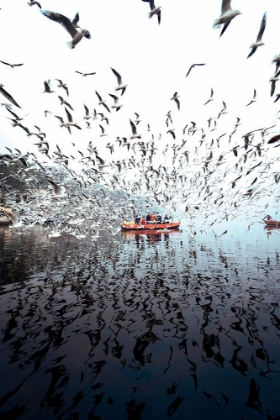 Picture of LIMITLESS AT YAMUNA GHAT