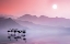 Picture of FLAMINGOS SUNSET