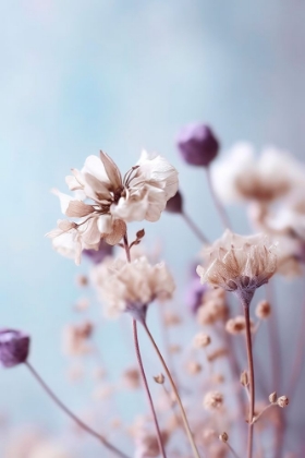 Picture of PASTEL DRY FLOWERS NO 4