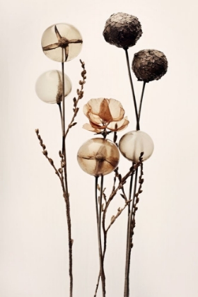 Picture of GLASS BALL FLOWERS
