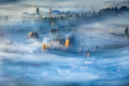 Picture of MORNING MIST