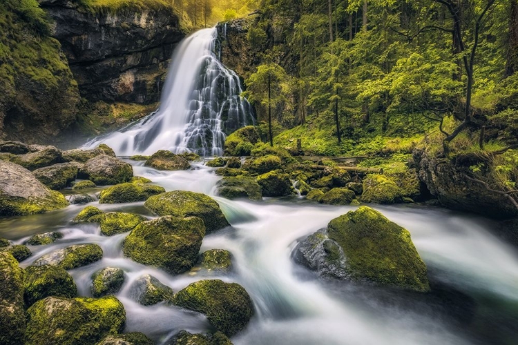 Picture of GOLLINGER WATERFALL (TENNENGAU / AUSTRIA)