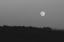 Picture of RISE