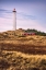 Picture of DUNE LANDSCAPE AT LYNGVIG FYR LIGHTHOUSE