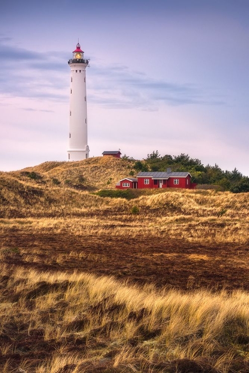 Picture of DUNE LANDSCAPE AT LYNGVIG FYR LIGHTHOUSE