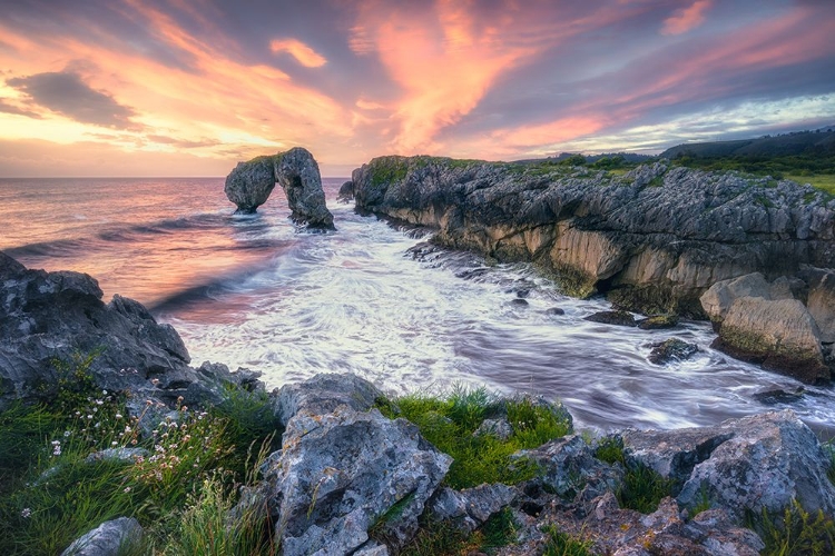 Picture of THE THIRSTY ELEPHANT (ASTURIAS / NORTHERN SPAIN)