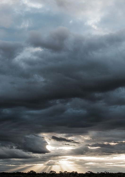 Picture of AFRICAN SKIES