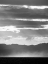 Picture of WILD COAST