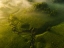 Picture of UNTITLED