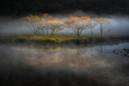 Picture of AT THE LAKESIDE DEEPENING IN AUTUMN