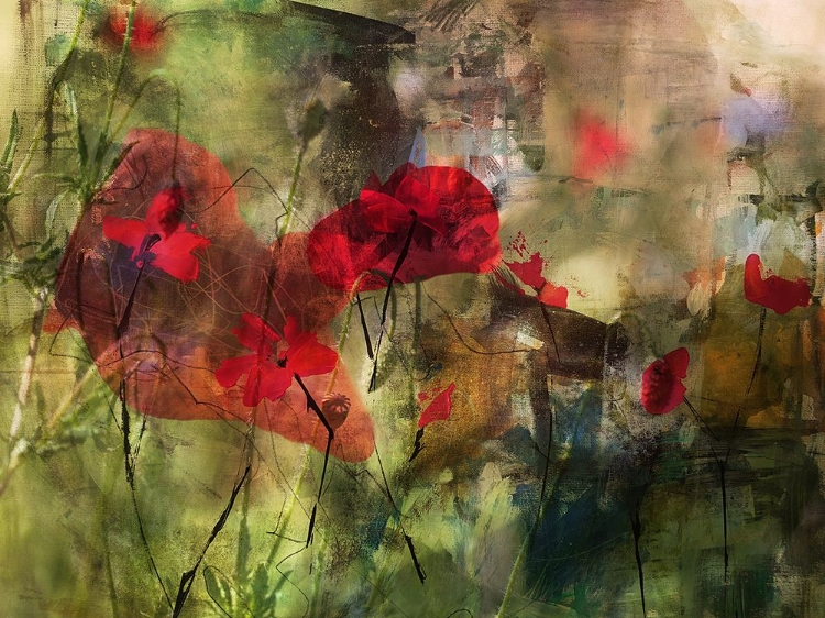 Picture of POPPIES