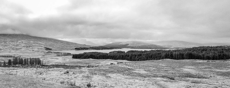 Picture of PANORAMIC VIEW OF THE SCOTTISH HIGHLANDS