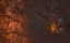 Picture of RHO OPHIUCHI CLOUD COMPLEX