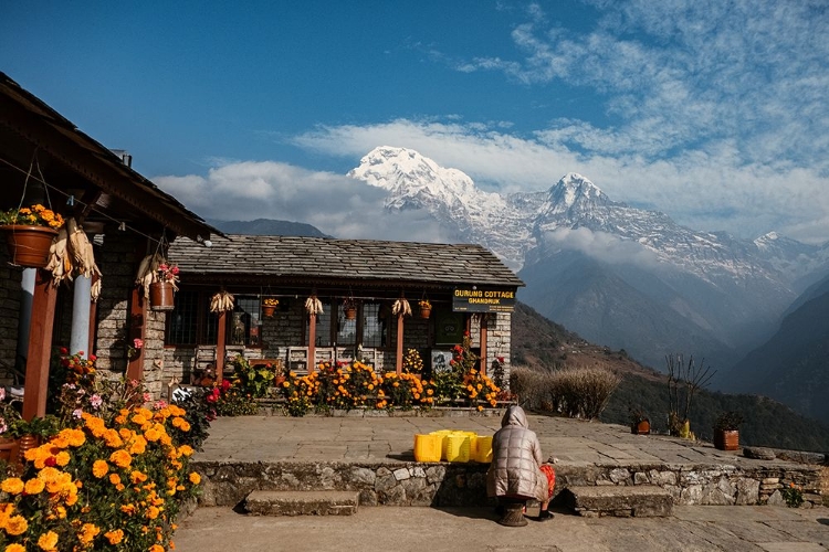 Picture of VIEW OF ANNAPURNA RANGE FROM GHANDRUK