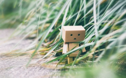 Picture of DANBO ON A WALK