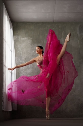 Picture of THE POSE OF RED GOWN BALLERINA