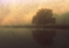 Picture of SOME MORNINGS...