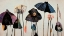 Picture of UMBRELLA FLOWERS NO 1