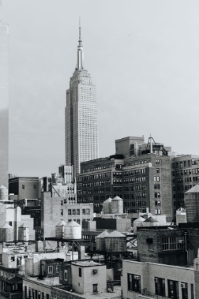 Picture of EMPIRE STATE OF MIND BLACK AND WHITE