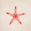 Picture of SEA STAR
