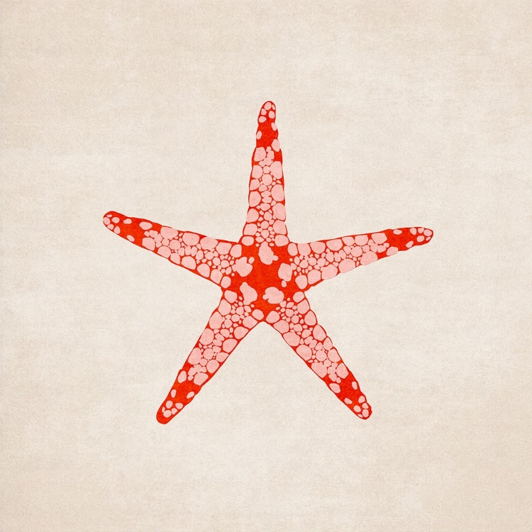 Picture of SEA STAR