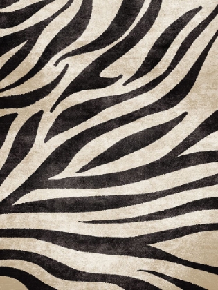 Picture of ZEBRA